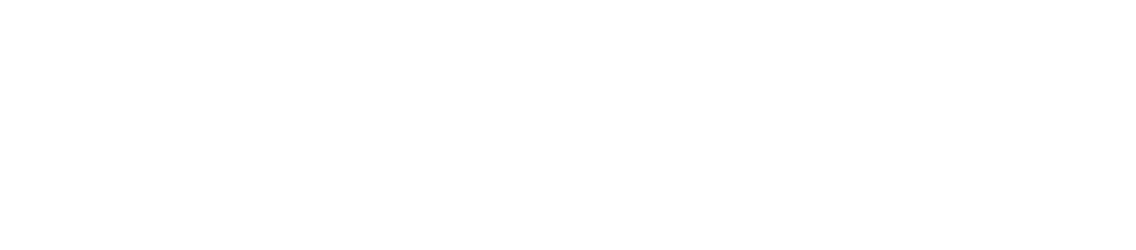 38 LS